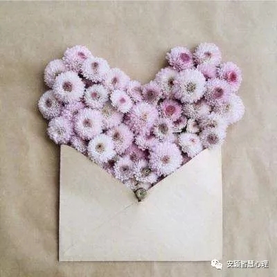 1554799158666220.jpg 640.webp (8).jpg