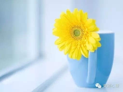 1570697359628052.jpg 640.webp (9).jpg